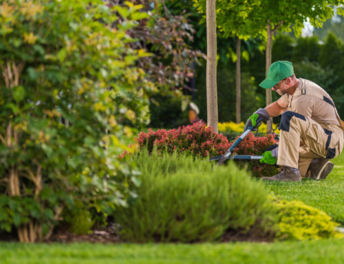 Bookkeeping for Landscaping Businesses: Job Costing, Seasonality, and Sales-Tax Touchpoints